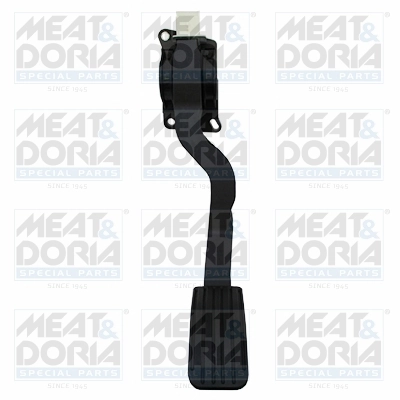 Accelerator Pedal Unit